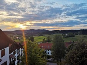 Ferienwohnung Sonnenblume mit Hallenbad und Sauna